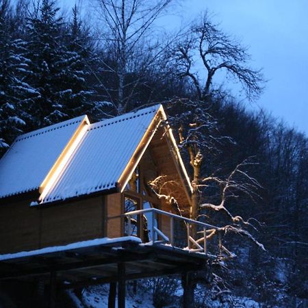 Tree House - Tara Place Mojkovac Ngoại thất bức ảnh