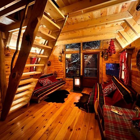 Tree House - Tara Place Mojkovac Ngoại thất bức ảnh