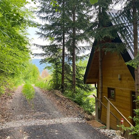 Tree House - Tara Place Mojkovac Ngoại thất bức ảnh