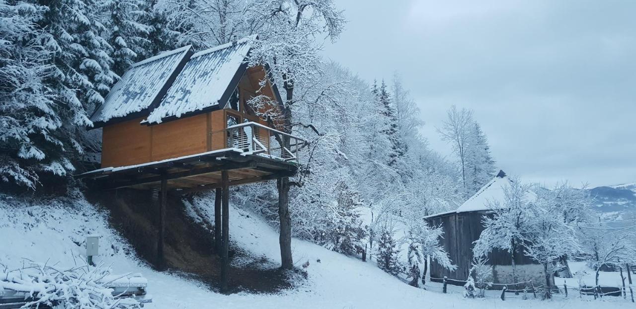 Tree House - Tara Place Mojkovac Ngoại thất bức ảnh