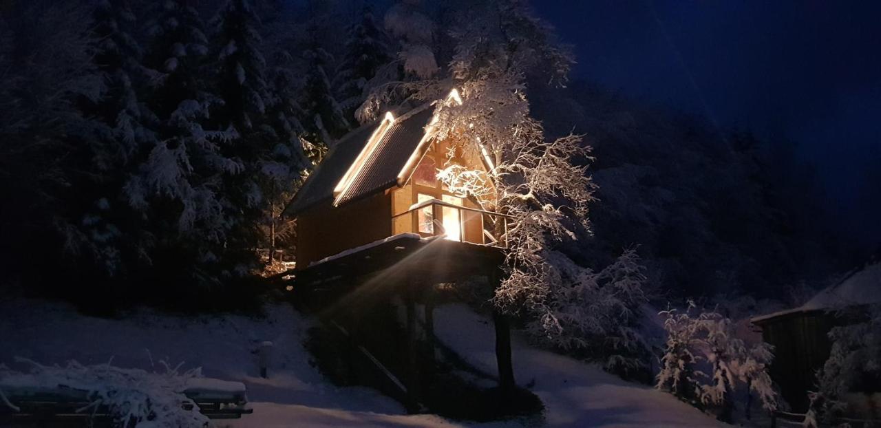 Tree House - Tara Place Mojkovac Ngoại thất bức ảnh