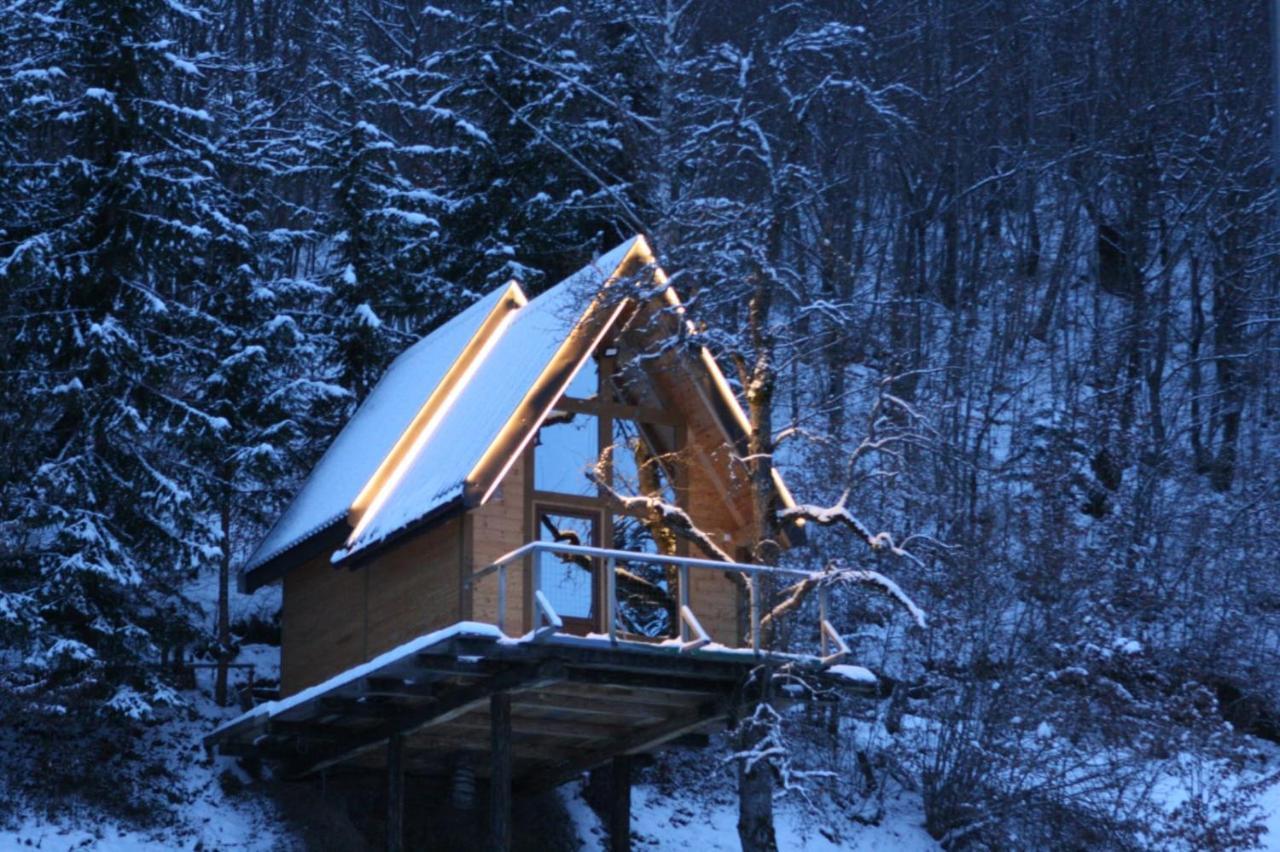Tree House - Tara Place Mojkovac Ngoại thất bức ảnh