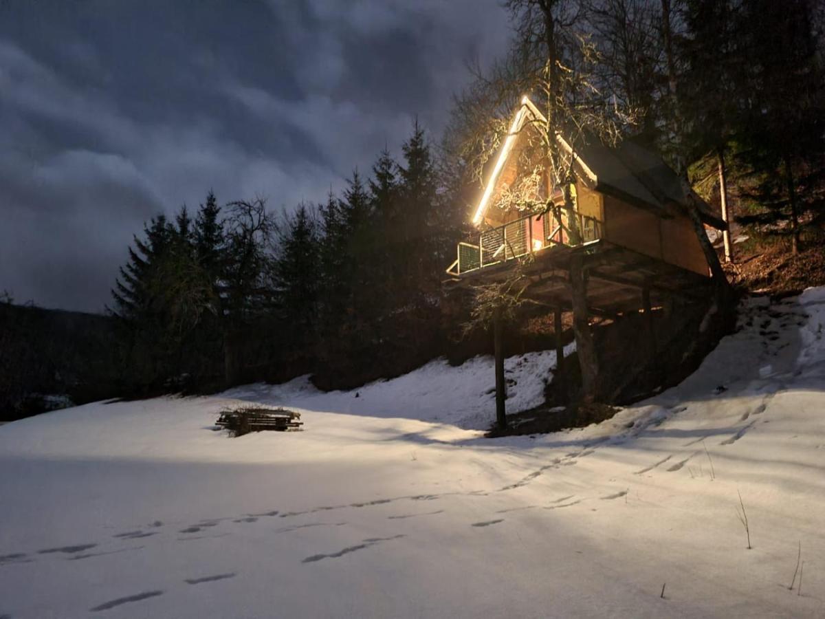 Tree House - Tara Place Mojkovac Ngoại thất bức ảnh