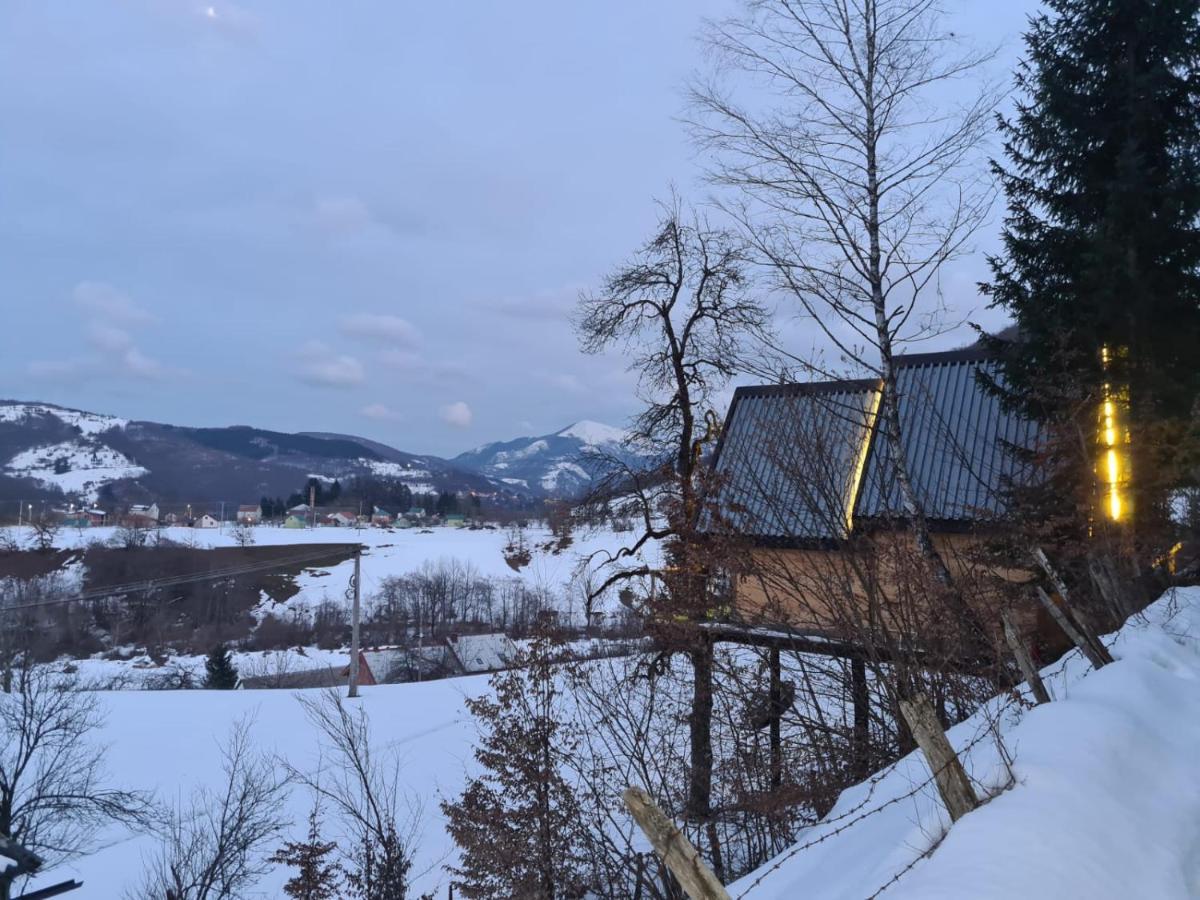 Tree House - Tara Place Mojkovac Ngoại thất bức ảnh
