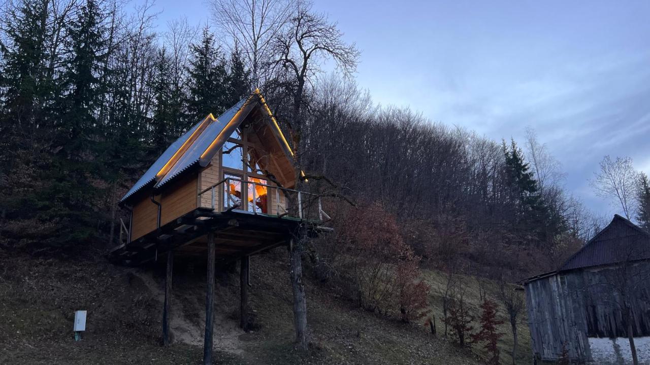 Tree House - Tara Place Mojkovac Ngoại thất bức ảnh