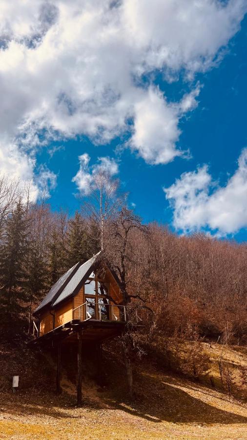 Tree House - Tara Place Mojkovac Ngoại thất bức ảnh