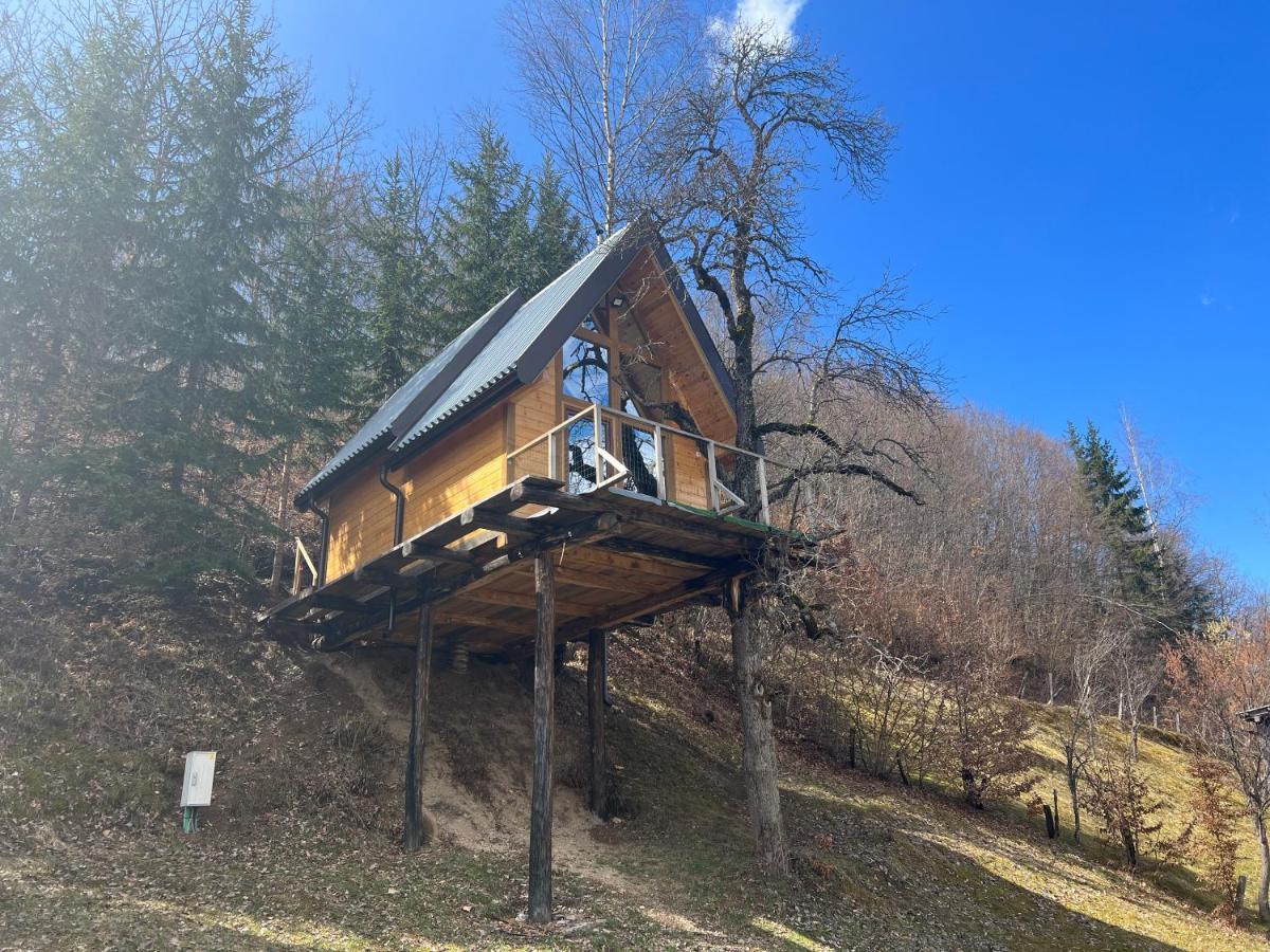 Tree House - Tara Place Mojkovac Ngoại thất bức ảnh