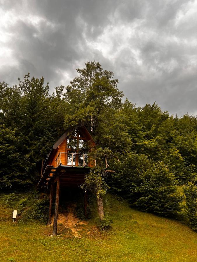 Tree House - Tara Place Mojkovac Ngoại thất bức ảnh