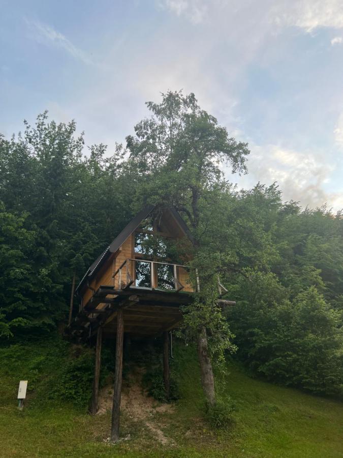 Tree House - Tara Place Mojkovac Ngoại thất bức ảnh