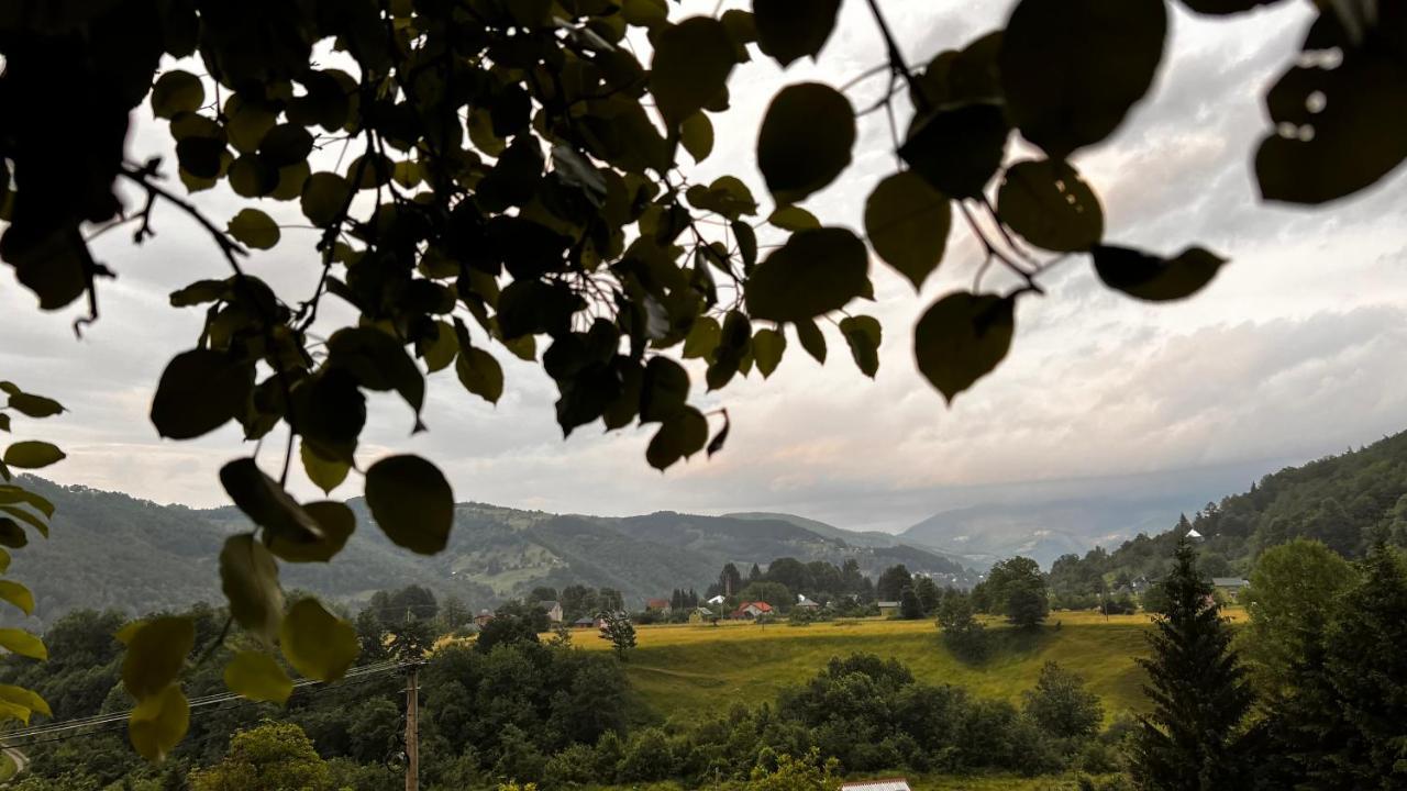 Tree House - Tara Place Mojkovac Ngoại thất bức ảnh