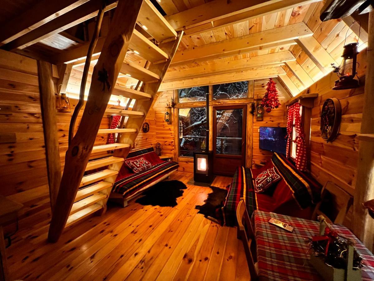 Tree House - Tara Place Mojkovac Ngoại thất bức ảnh