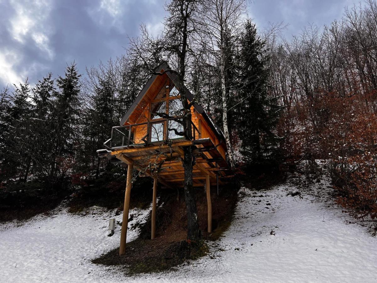 Tree House - Tara Place Mojkovac Ngoại thất bức ảnh