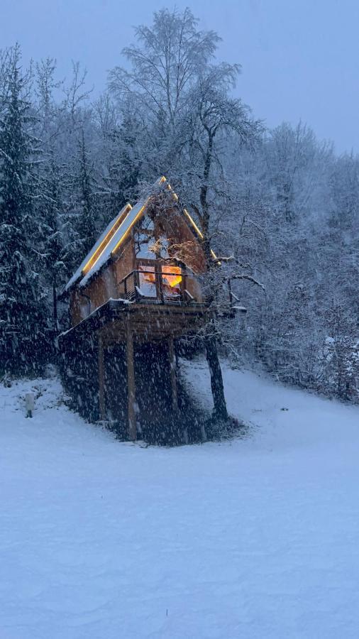 Tree House - Tara Place Mojkovac Ngoại thất bức ảnh
