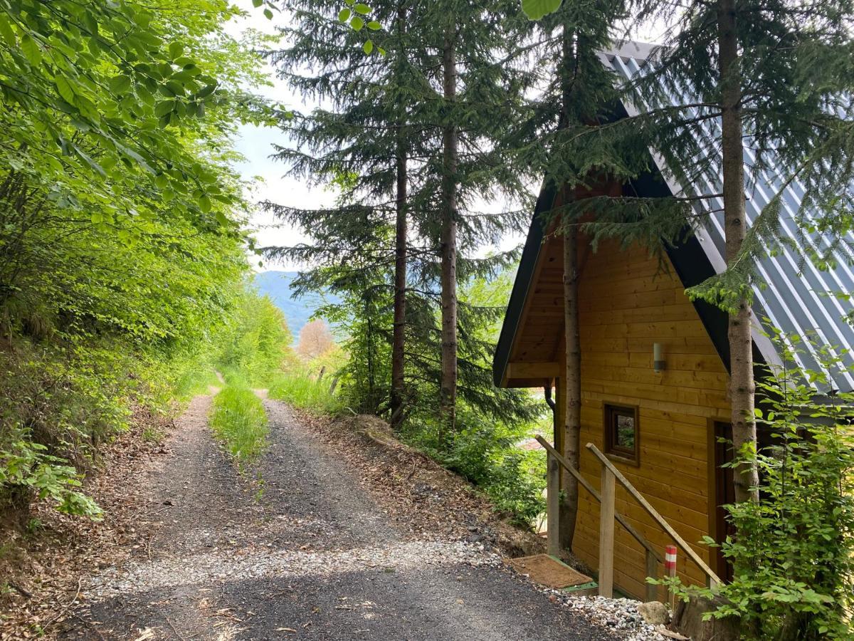 Tree House - Tara Place Mojkovac Ngoại thất bức ảnh